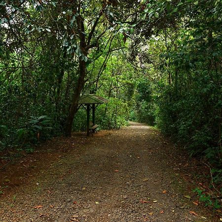 Tree Houses Hotel Costa Rica Florencia Екстериор снимка