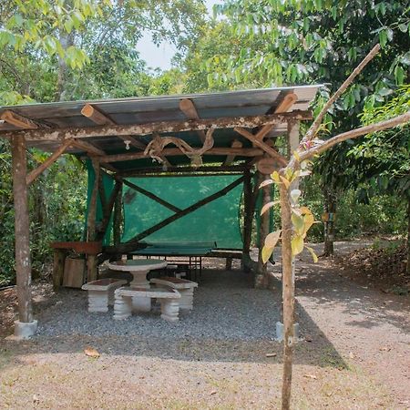 Tree Houses Hotel Costa Rica Florencia Екстериор снимка
