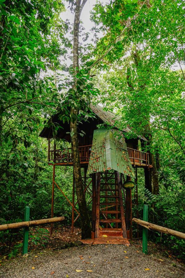 Tree Houses Hotel Costa Rica Florencia Екстериор снимка