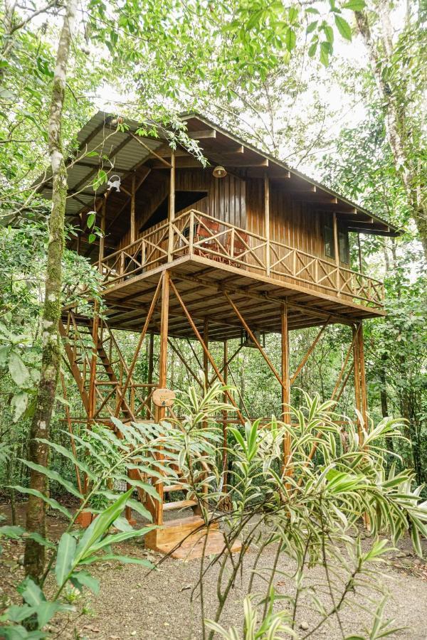 Tree Houses Hotel Costa Rica Florencia Екстериор снимка