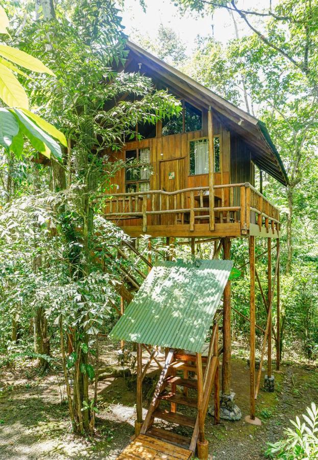 Tree Houses Hotel Costa Rica Florencia Екстериор снимка