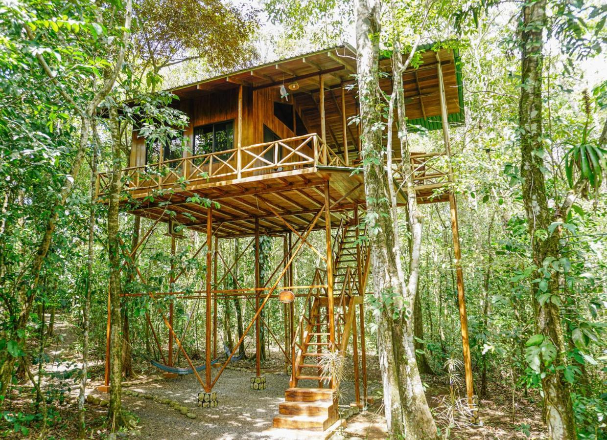 Tree Houses Hotel Costa Rica Florencia Екстериор снимка