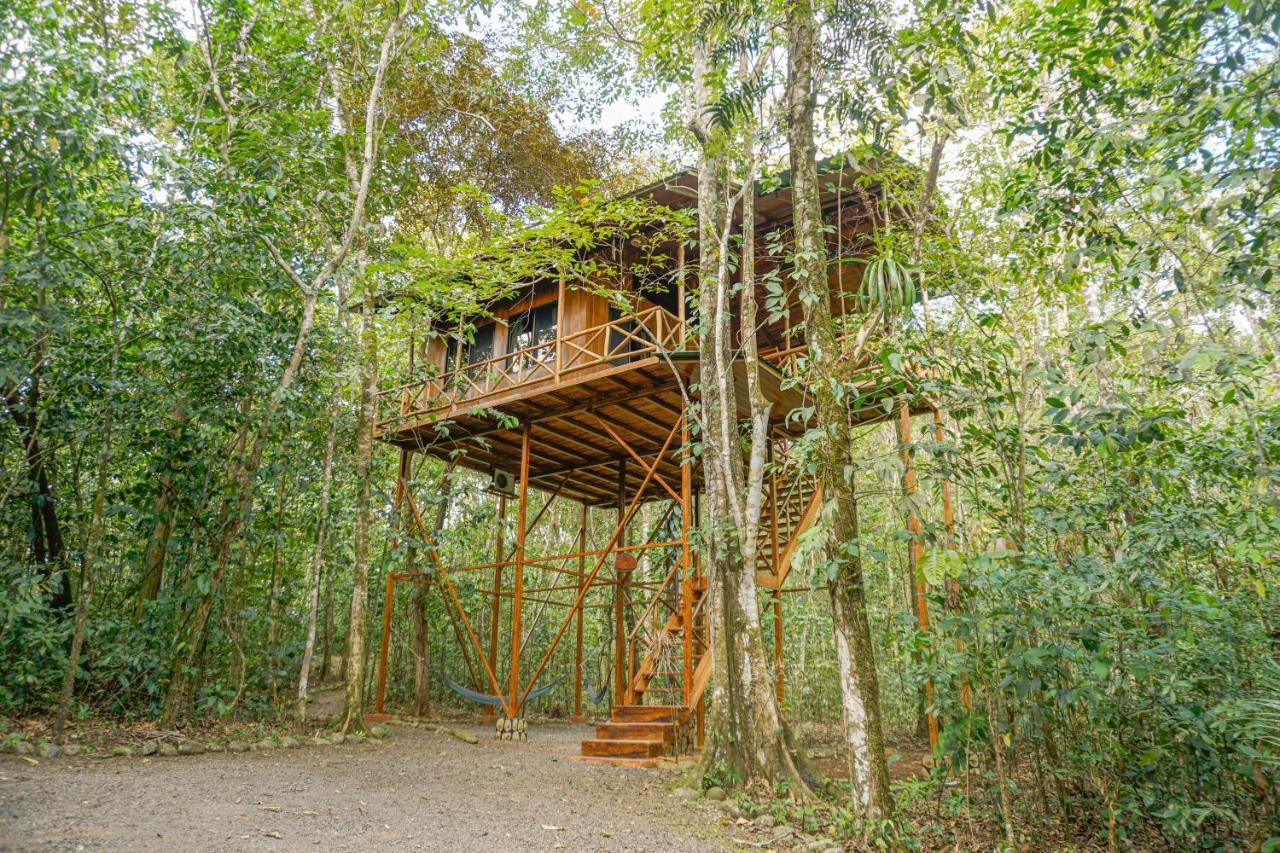 Tree Houses Hotel Costa Rica Florencia Екстериор снимка