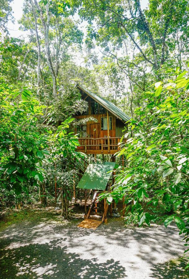 Tree Houses Hotel Costa Rica Florencia Екстериор снимка