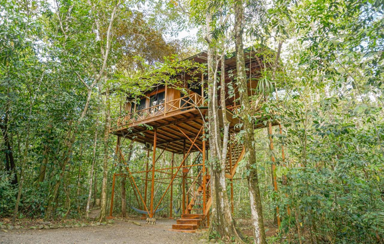 Tree Houses Hotel Costa Rica Florencia Екстериор снимка