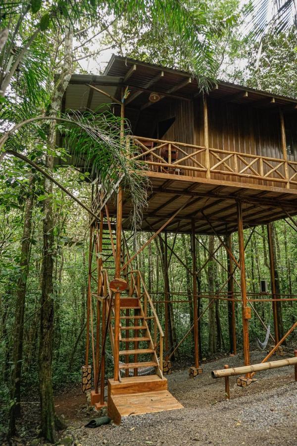 Tree Houses Hotel Costa Rica Florencia Екстериор снимка