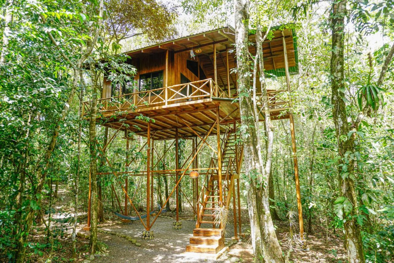 Tree Houses Hotel Costa Rica Florencia Екстериор снимка