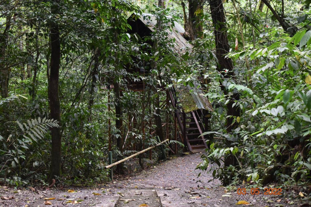 Tree Houses Hotel Costa Rica Florencia Екстериор снимка