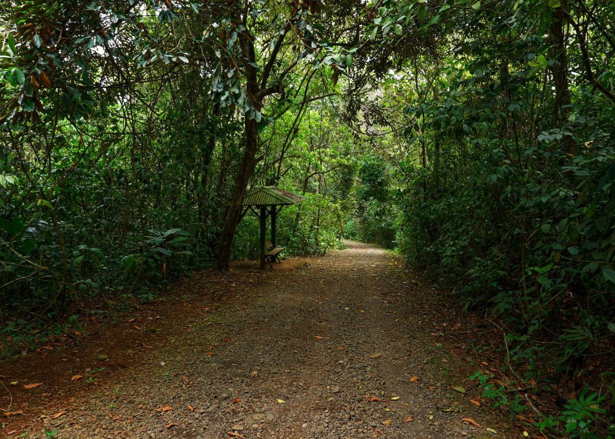 Tree Houses Hotel Costa Rica Florencia Екстериор снимка