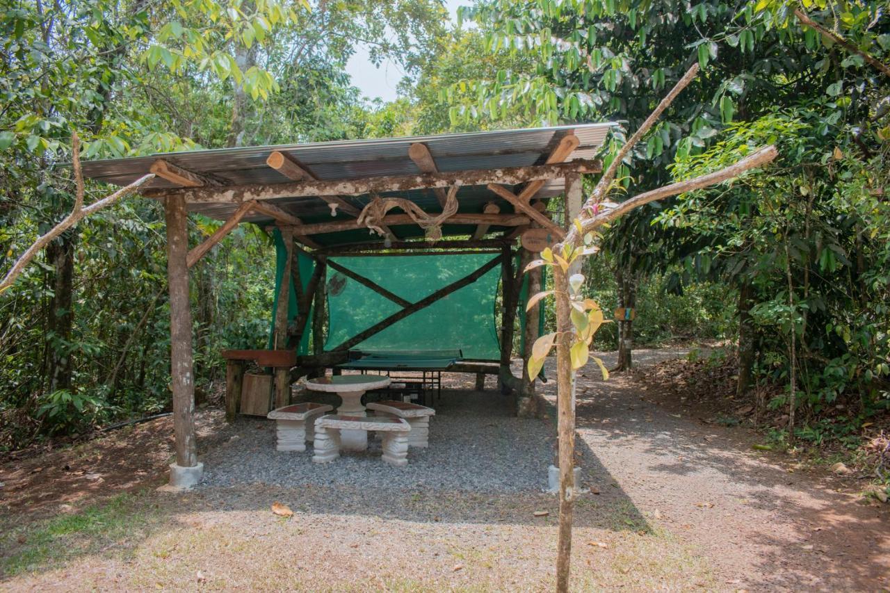 Tree Houses Hotel Costa Rica Florencia Екстериор снимка